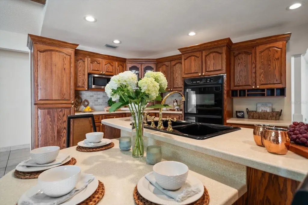 1105 Deer Run Place Valrico FL 33594