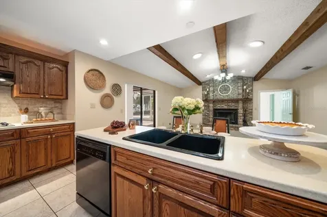 1105 Deer Run Place Valrico FL 33594