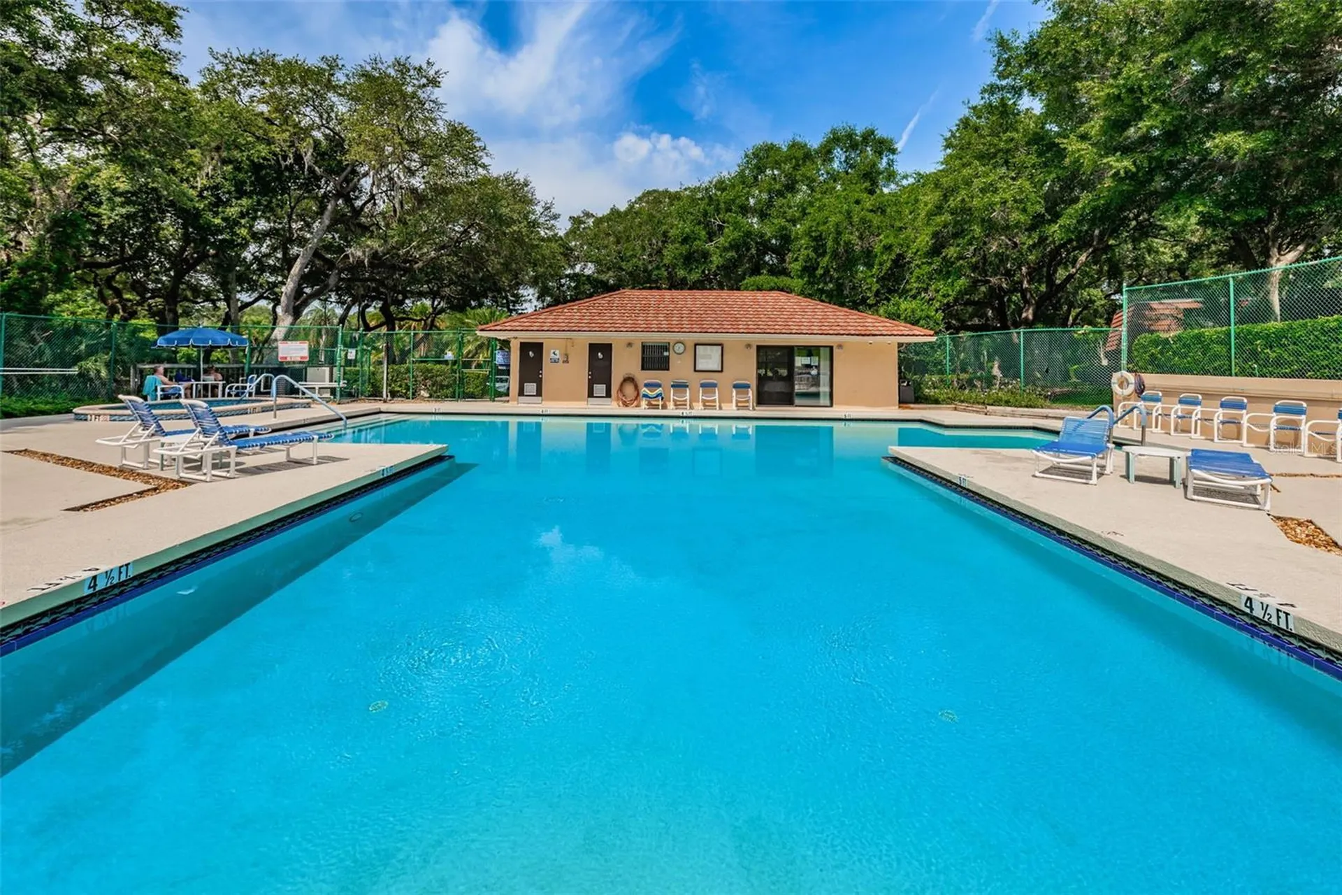 2734 5th Court Palm Harbor FL 34684