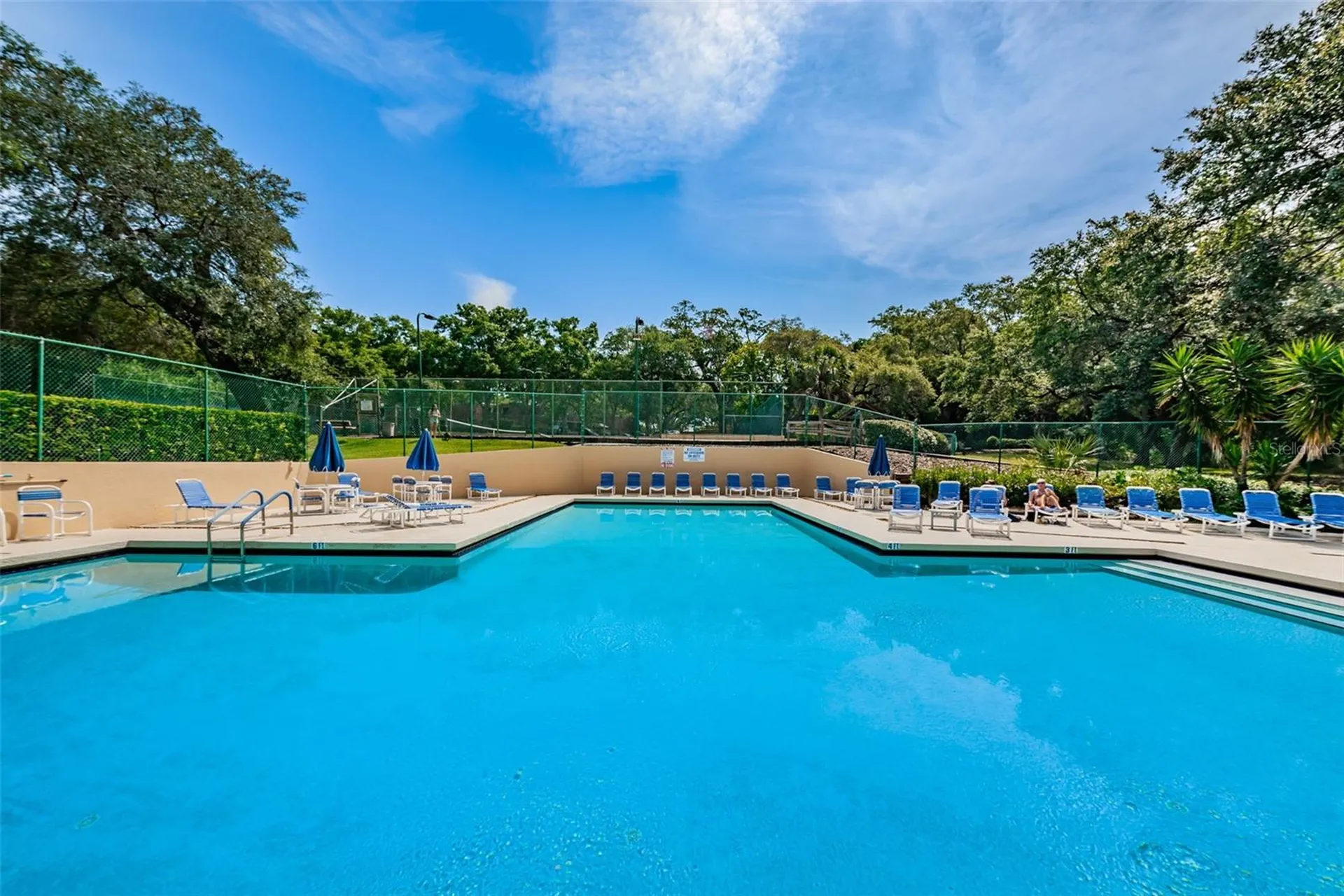 2734 5th Court Palm Harbor FL 34684
