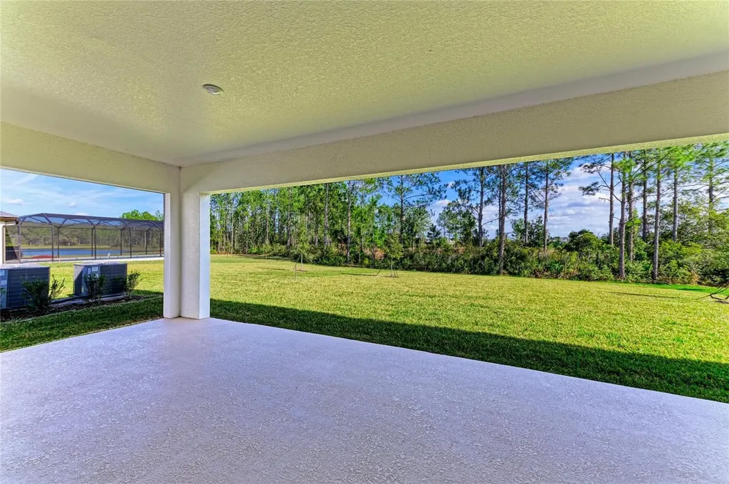 35483 Big Hawk Drive Zephyrhills FL 33541