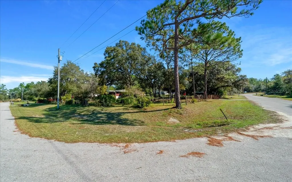 16651 SW 42nd Loop Ocala FL 34481