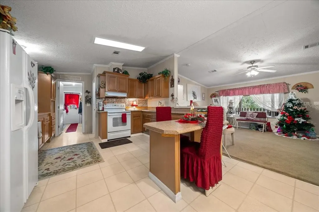 16651 SW 42nd Loop Ocala FL 34481