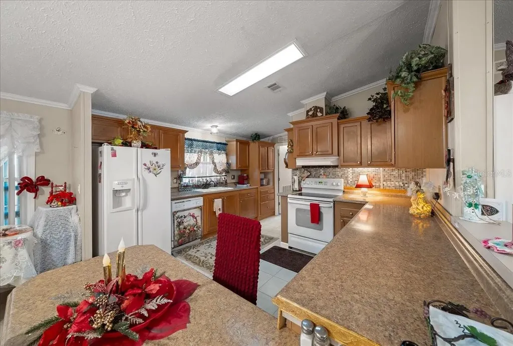 16651 SW 42nd Loop Ocala FL 34481