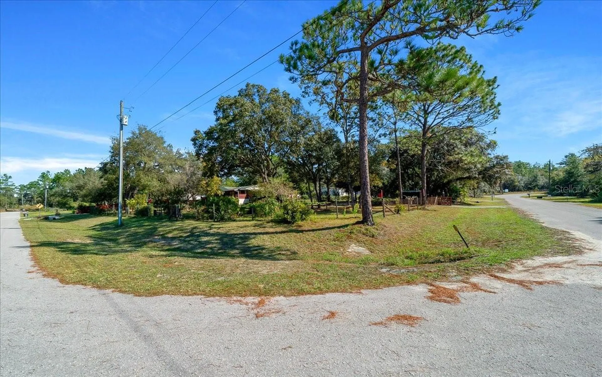 16651 SW 42nd Loop Ocala FL 34481