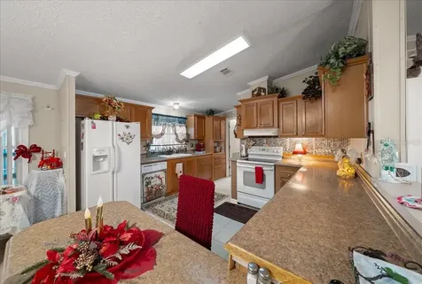 16651 SW 42nd Loop Ocala FL 34481