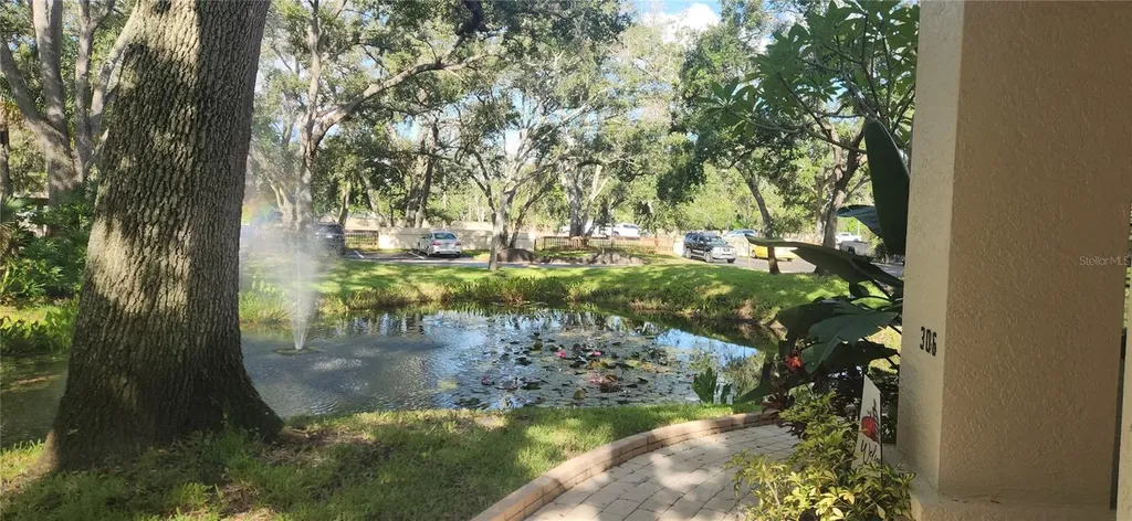 304 Los Prados Safety Harbor FL 34695