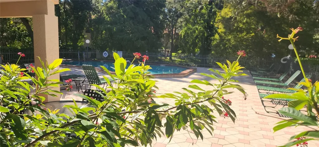 304 Los Prados Safety Harbor FL 34695