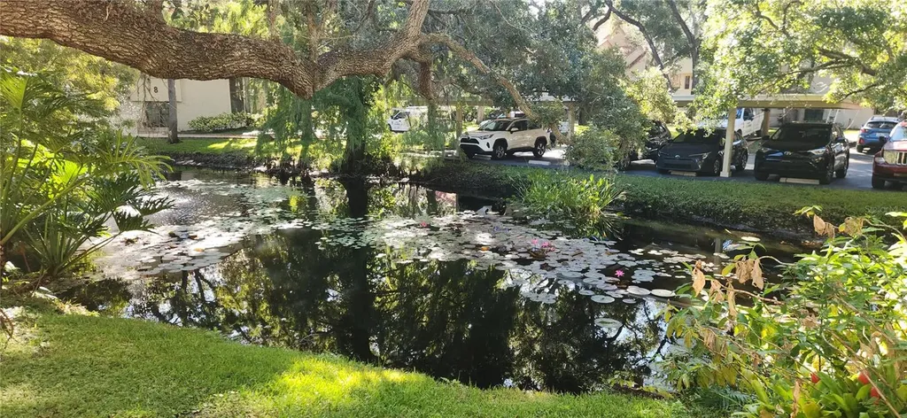 304 Los Prados Safety Harbor FL 34695