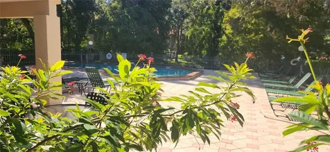 304 Los Prados Safety Harbor FL 34695