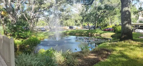 304 Los Prados Safety Harbor FL 34695