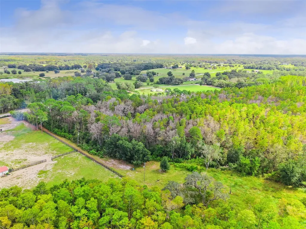 8449 Bay Lake Road Groveland FL 34736