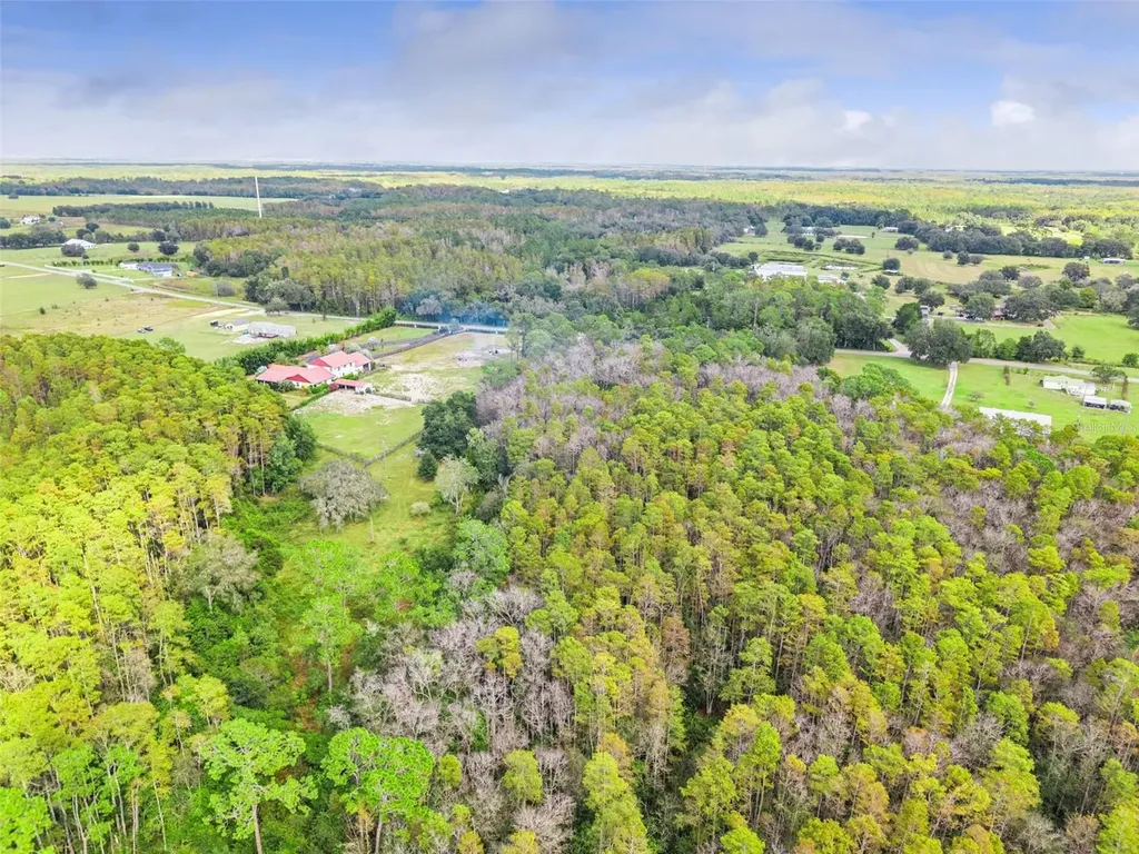 8449 Bay Lake Road Groveland FL 34736