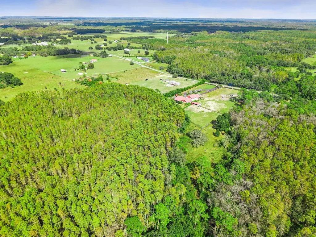 8449 Bay Lake Road Groveland FL 34736