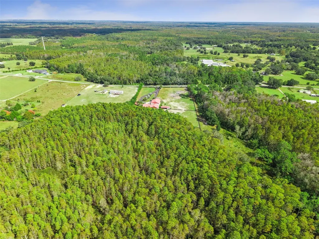 8449 Bay Lake Road Groveland FL 34736