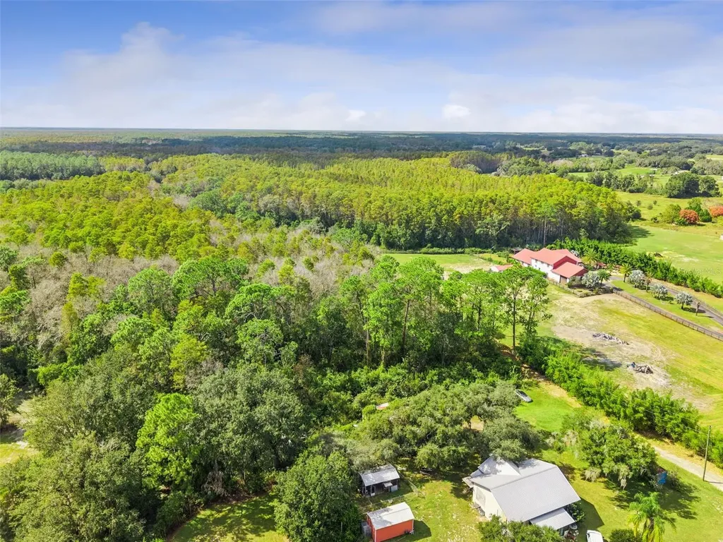 8449 Bay Lake Road Groveland FL 34736