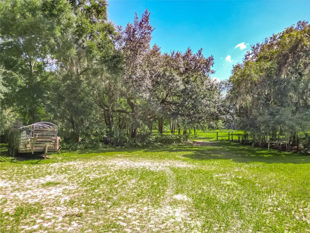12611 NE 36th Avenue Anthony FL 32617