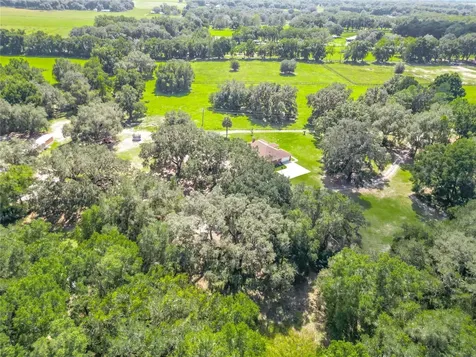 12611 NE 36th Avenue Anthony FL 32617