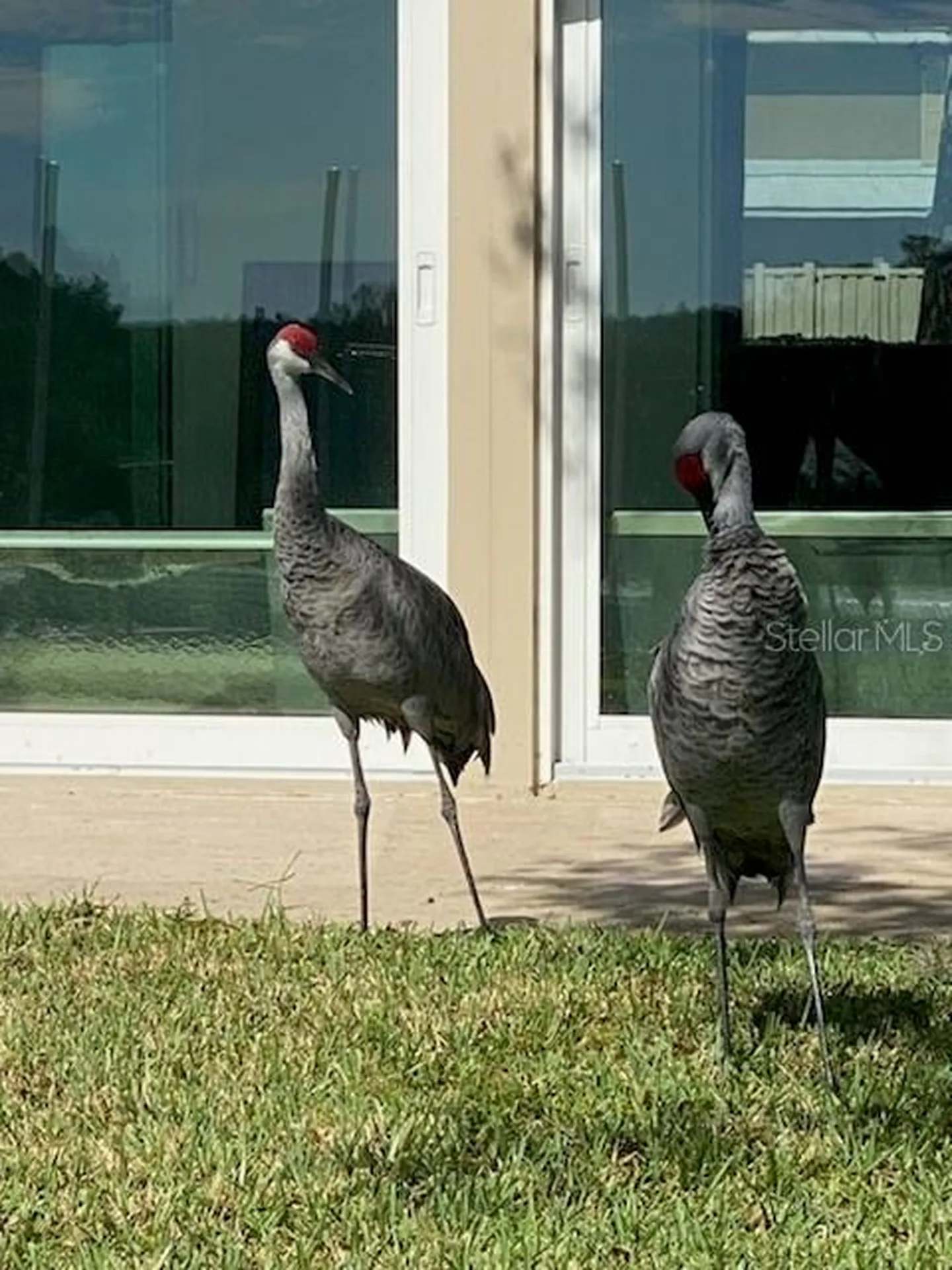 11550 W Bayshore Drive Crystal River FL 34429