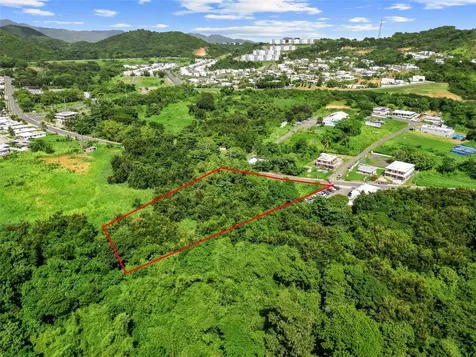 Carr. 982 Km 0.3 Bo. Demajagua Fajardo PR 00738