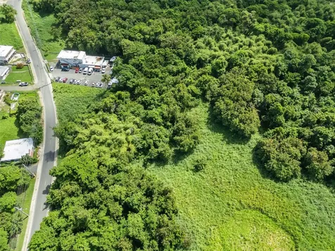 Carr. 982 Km 0.3 Bo. Demajagua Fajardo PR 00738