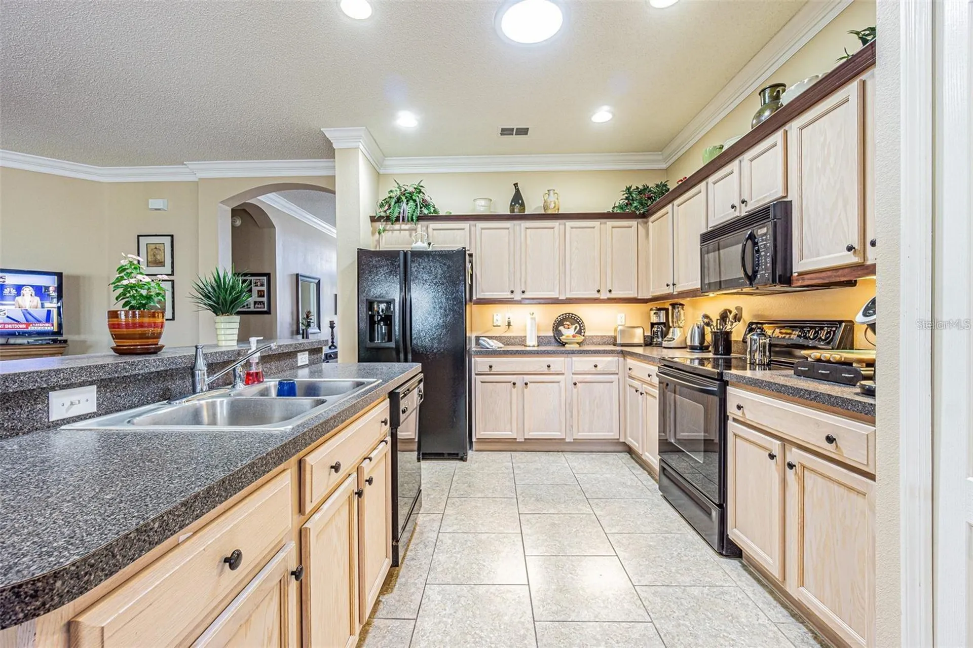 2514 Sandy Hill Court Holiday FL 34691
