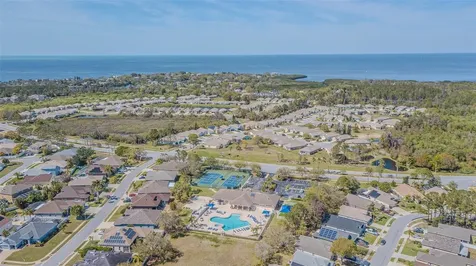 2514 Sandy Hill Court Holiday FL 34691