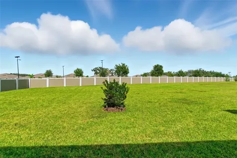 31524 Magna Gulf Loop San Antonio FL 33576