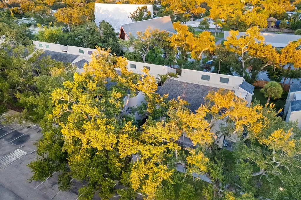 2224 Bahia Vista Street Sarasota FL 34239