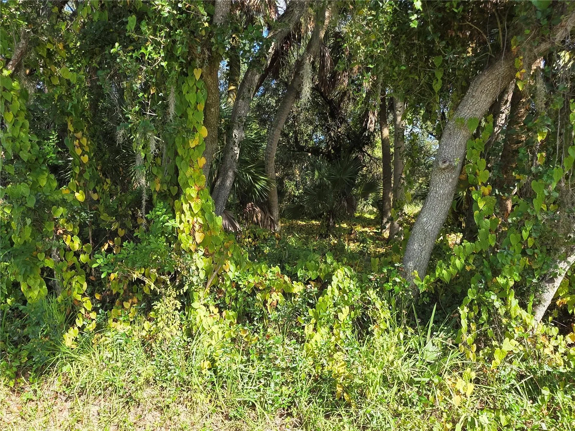 414 Liddy Street Port Charlotte FL 33954