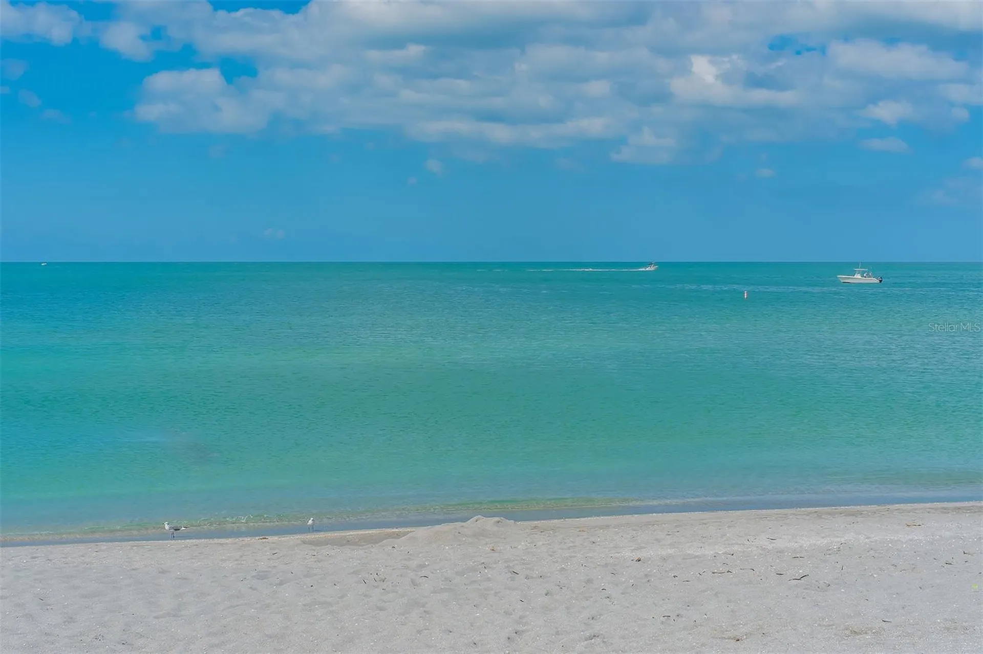 491 Daylily Boulevard Nokomis FL 34275