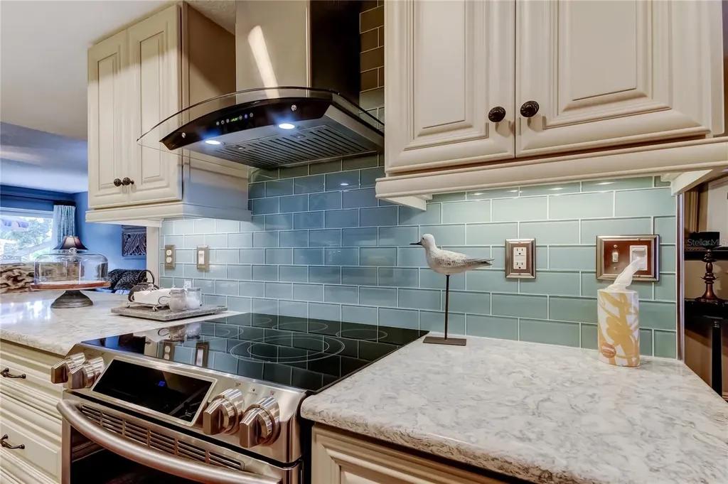 433 Paula Drive S Dunedin FL 34698