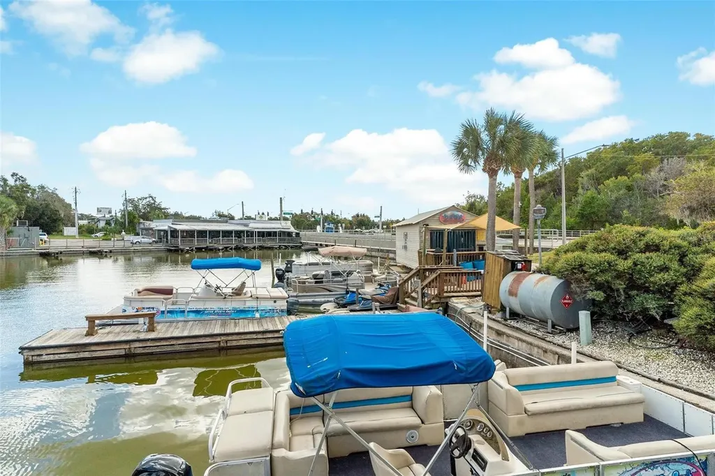 1006 W Burleigh Boulevard Tavares FL 32778