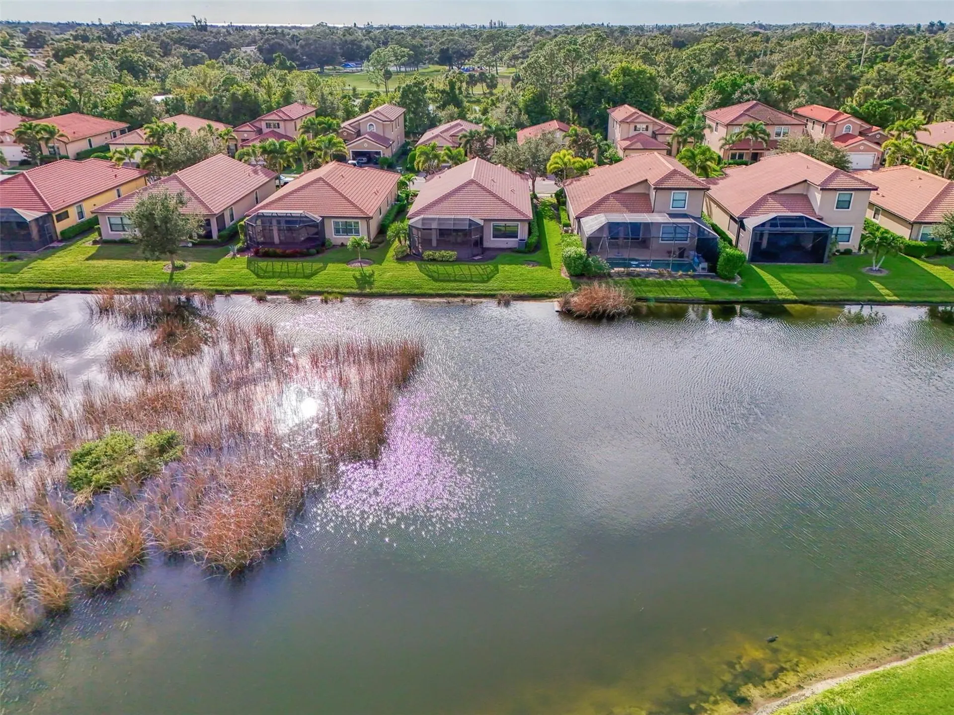 1050 Bluffwood Drive Nokomis FL 34275