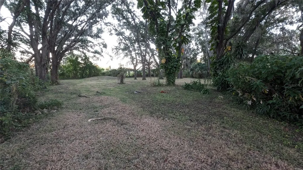 2024 E Keysville Road Lithia FL 33547