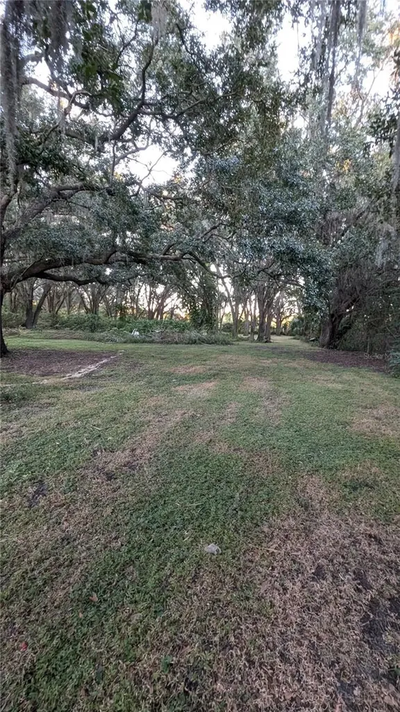 2024 E Keysville Road Lithia FL 33547