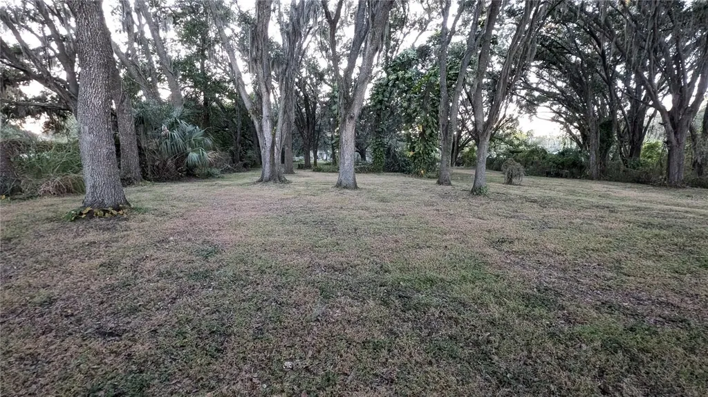 2024 E Keysville Road Lithia FL 33547