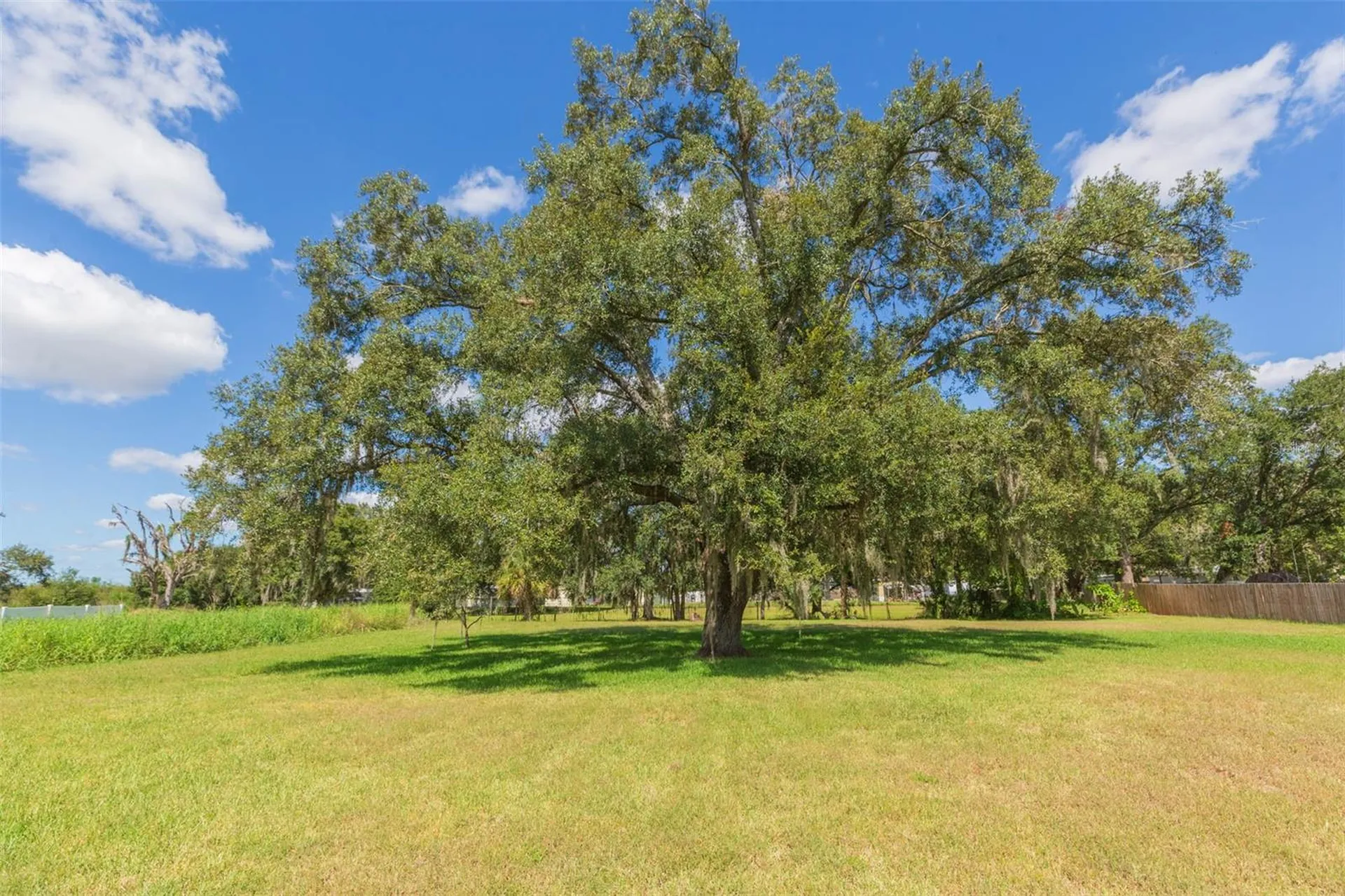 11228 Marlborough Drive Seffner FL 33584