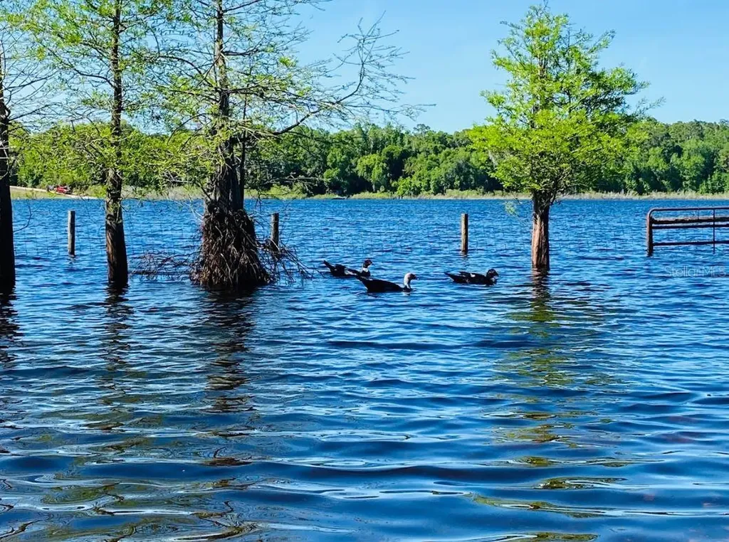 1210 Gem Lane Lake Helen FL 32744