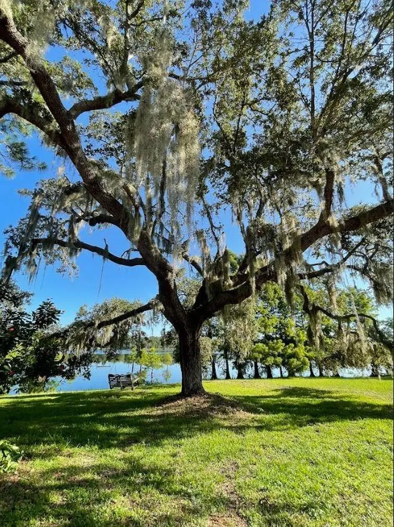1210 Gem Lane Lake Helen FL 32744