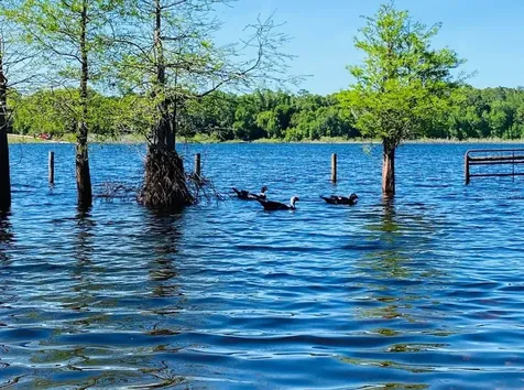 1210 Gem Lane Lake Helen FL 32744