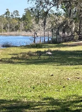 1210 Gem Lane Lake Helen FL 32744