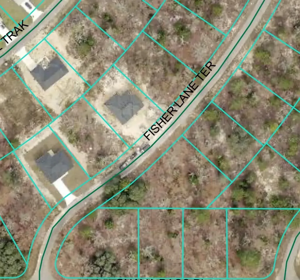 Fisher Lane Terrace Ocklawaha FL 32179
