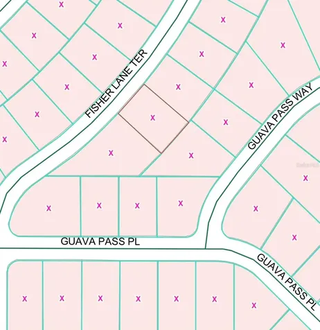 Fisher Lane Terrace Ocklawaha FL 32179