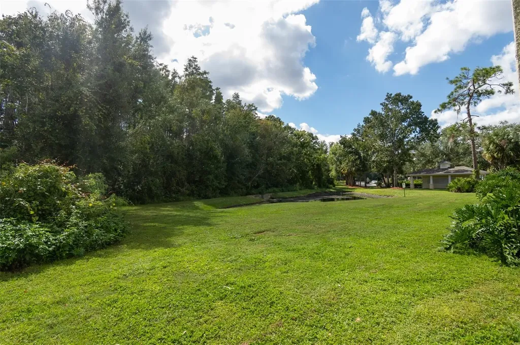 18113 Bridle Club Drive Tampa FL 33647