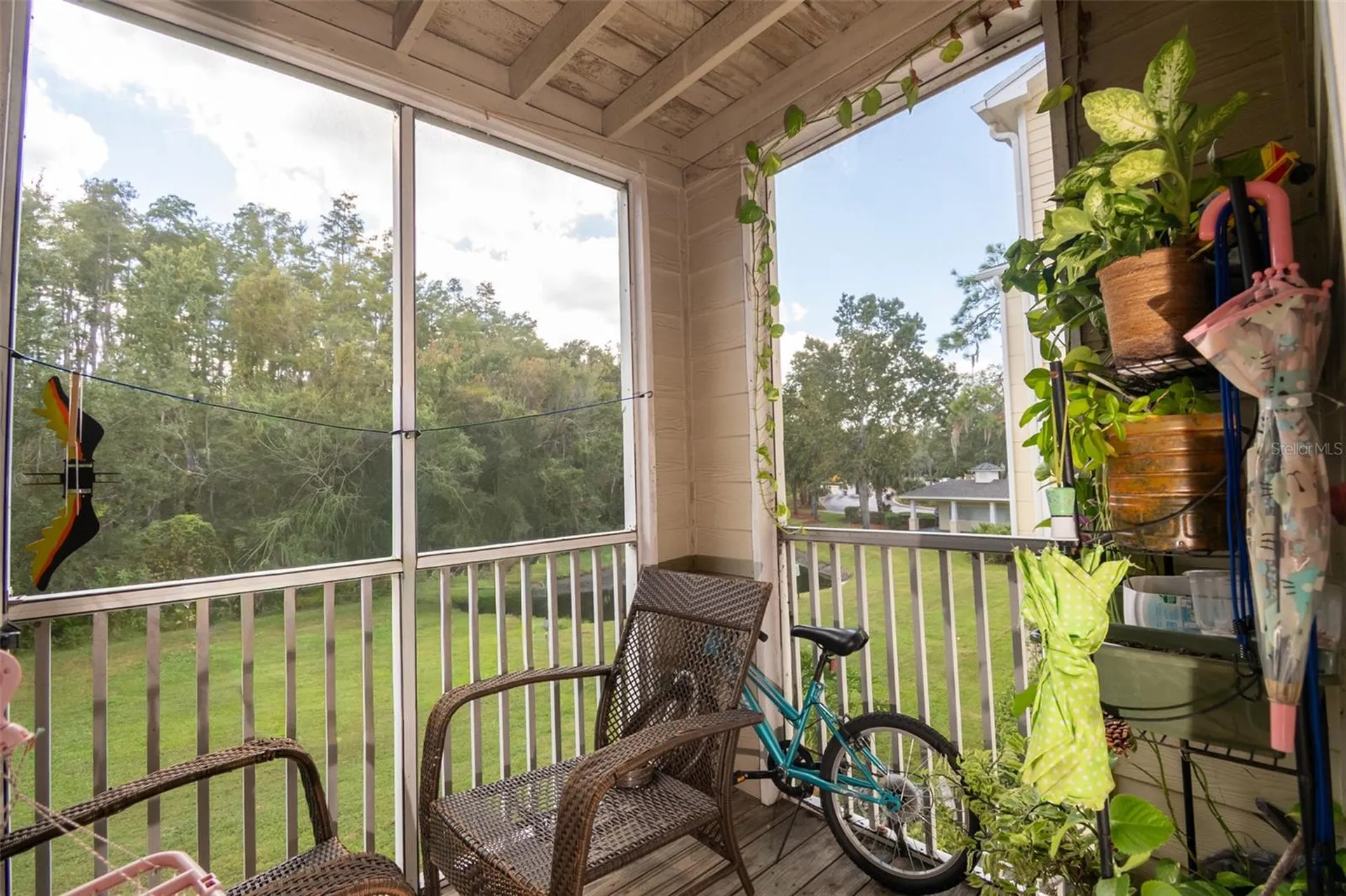 18113 Bridle Club Drive Tampa FL 33647