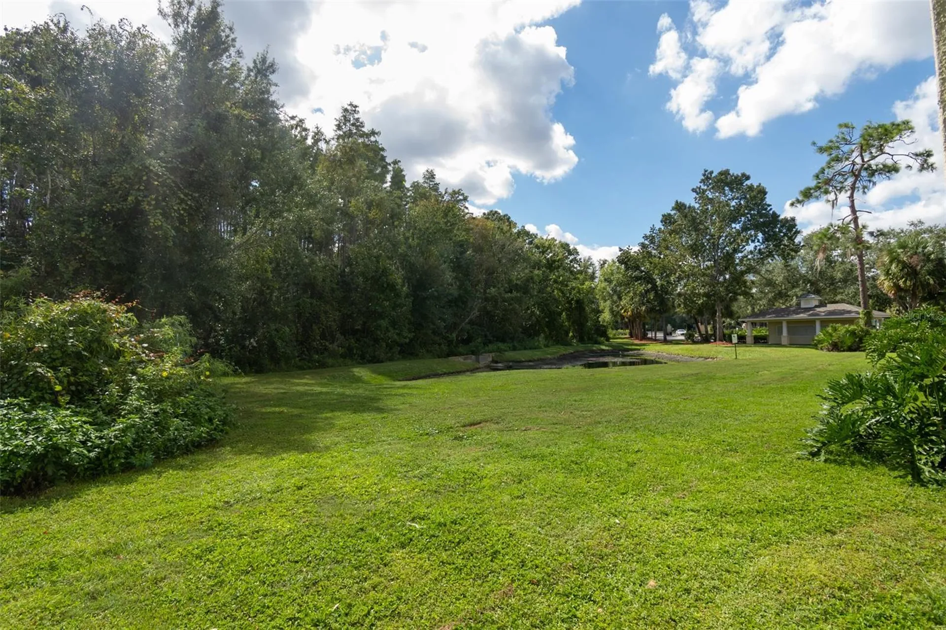 18113 Bridle Club Drive Tampa FL 33647