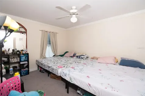 18113 Bridle Club Drive Tampa FL 33647
