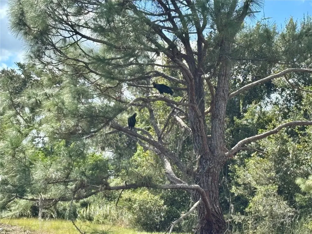 1950 Bern Creek Loop Sarasota FL 34240