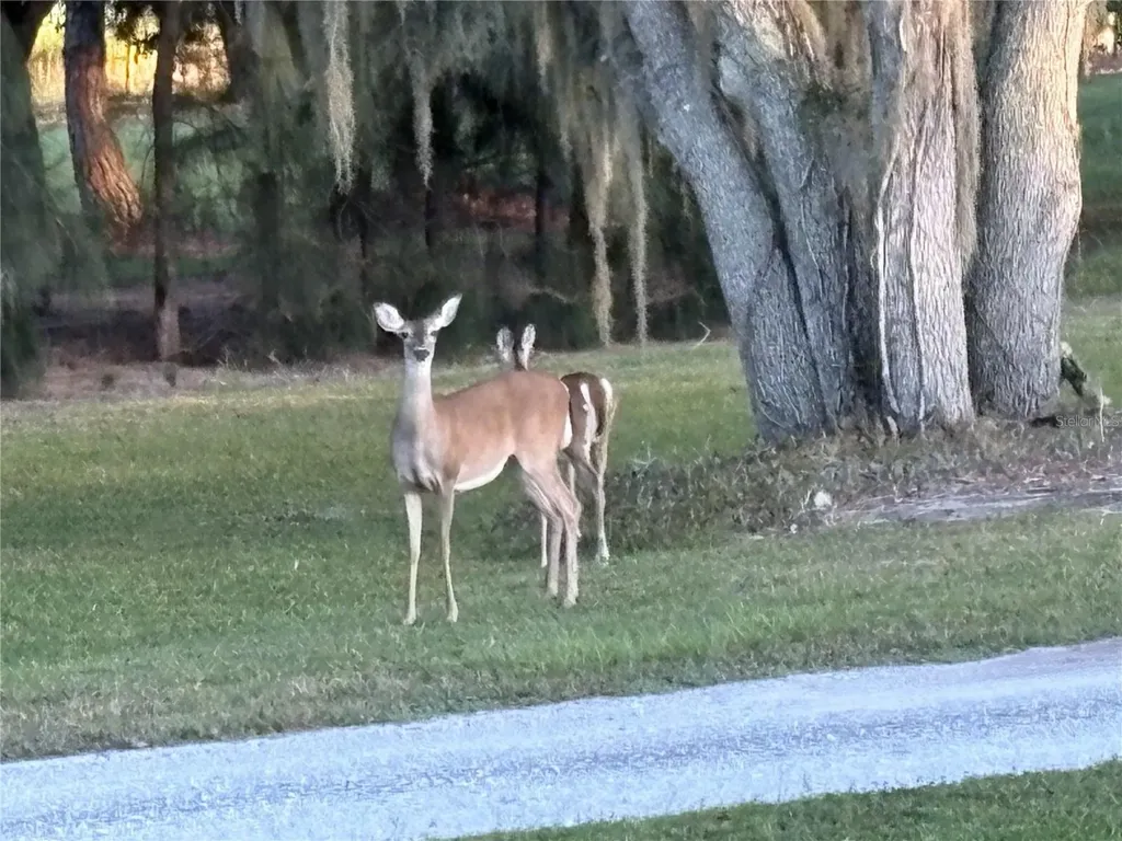 1950 Bern Creek Loop Sarasota FL 34240